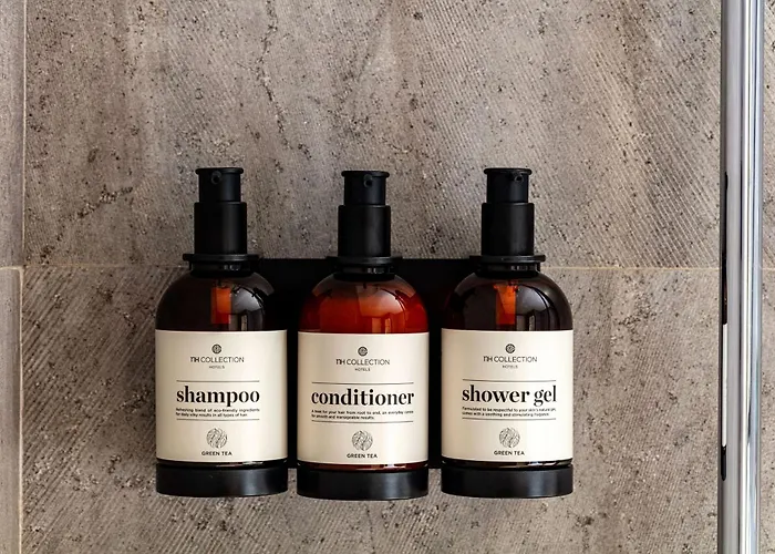 호텔 Nh 컬렉션 산 세바스티안 아란자주