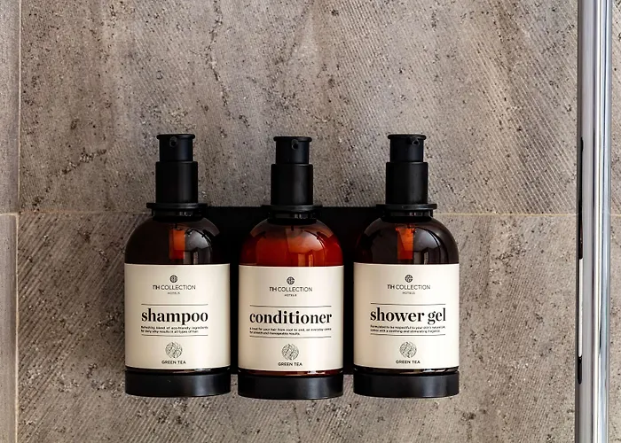 Nh 컬렉션 산 세바스티안 아란자주