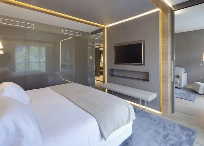 호텔 Nh 컬렉션 산 세바스티안 아란자주 4*